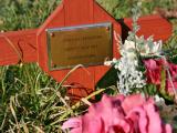 image of grave number 189881